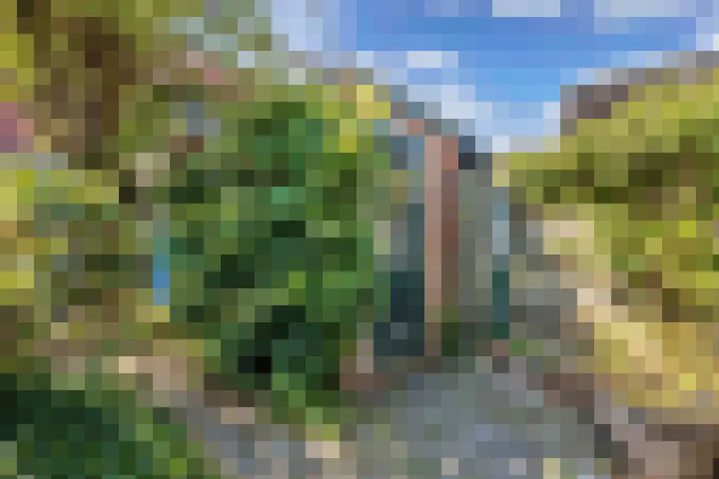 Aert van der Neerstraat 42 Leeuwarden thumbnail 36