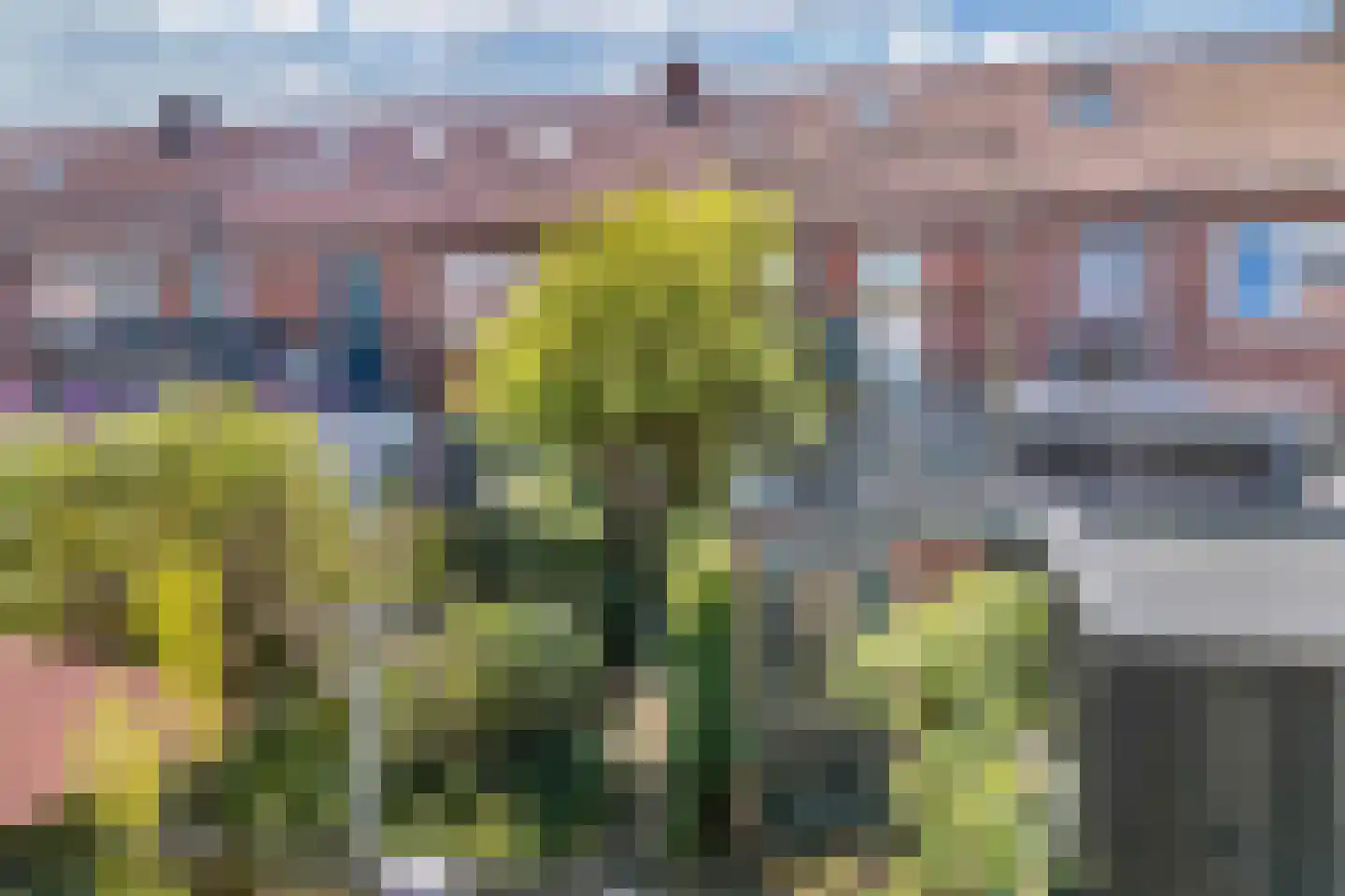 Aert van der Neerstraat 42 Leeuwarden thumbnail 37