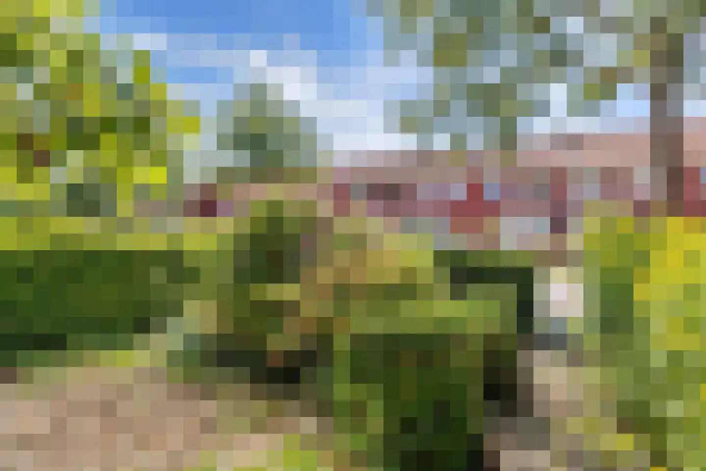 Aert van der Neerstraat 42 Leeuwarden thumbnail 9