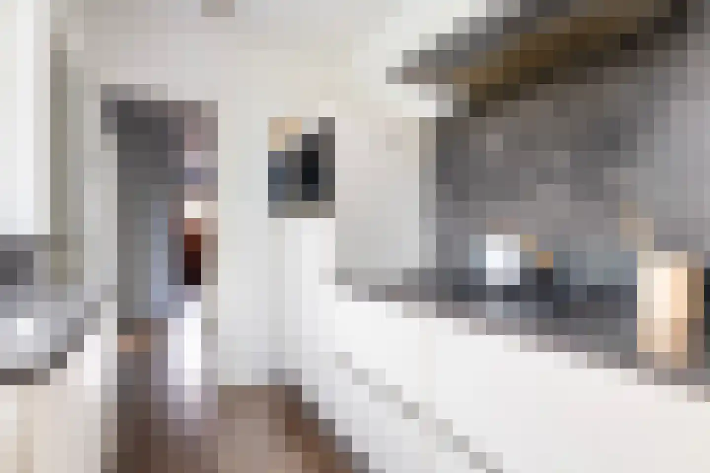 Aert van der Neerstraat 5 Leeuwarden thumbnail 9