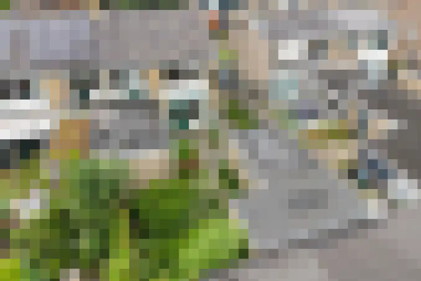 Aert van der Neerstraat 79 Leeuwarden thumbnail 29