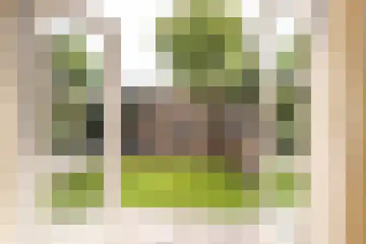 Aert van der Neerstraat 87 Leeuwarden thumbnail 11