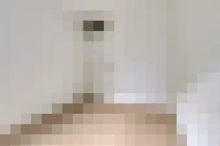 Aert van Neslaan 111 Oegstgeest thumbnail 24