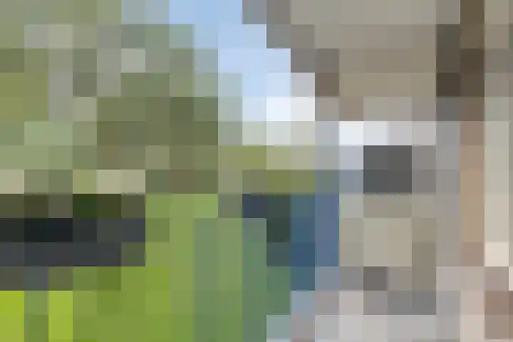 Aert van Neslaan 111 Oegstgeest thumbnail 28