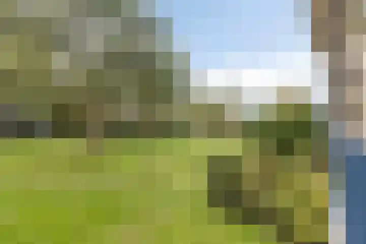 Aert van Neslaan 111 Oegstgeest thumbnail 29