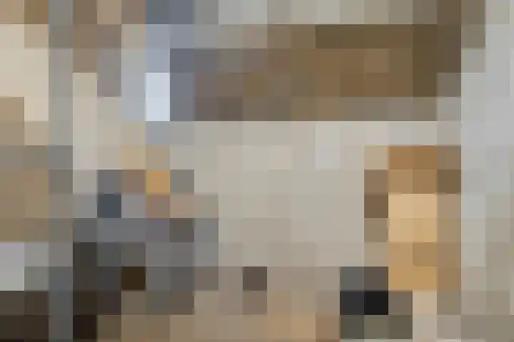 Aert van Neslaan 111 Oegstgeest thumbnail 30