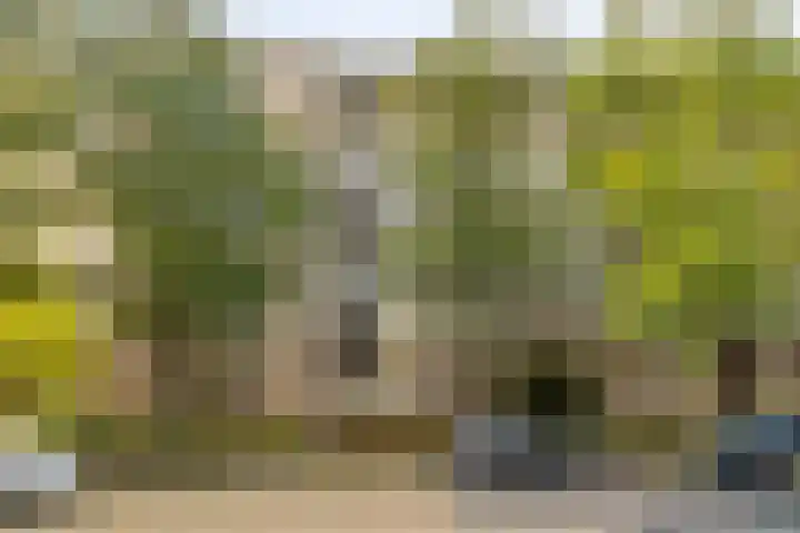Aert van Neslaan 111 Oegstgeest thumbnail 34