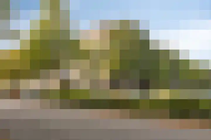 Aert van Neslaan 111 Oegstgeest thumbnail 36