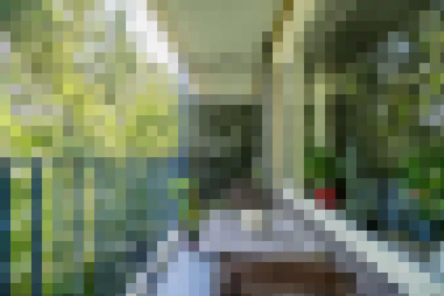 Aert van Neslaan 129 Oegstgeest thumbnail 12