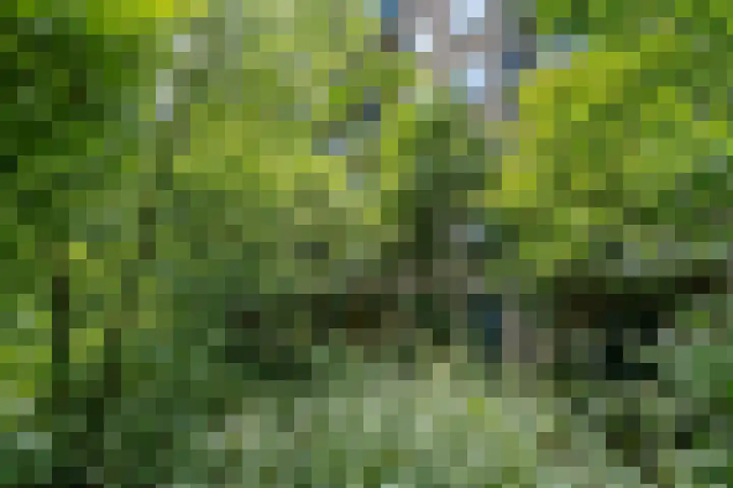 Aert van Neslaan 129 Oegstgeest thumbnail 43