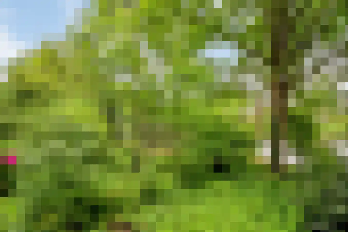 Aert van Neslaan 139 Oegstgeest thumbnail 12