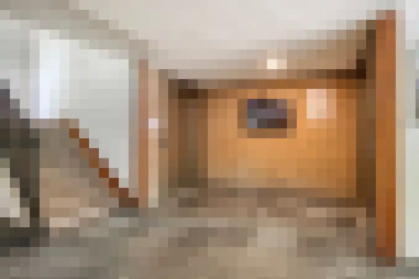Aert van Neslaan 139 Oegstgeest thumbnail 21