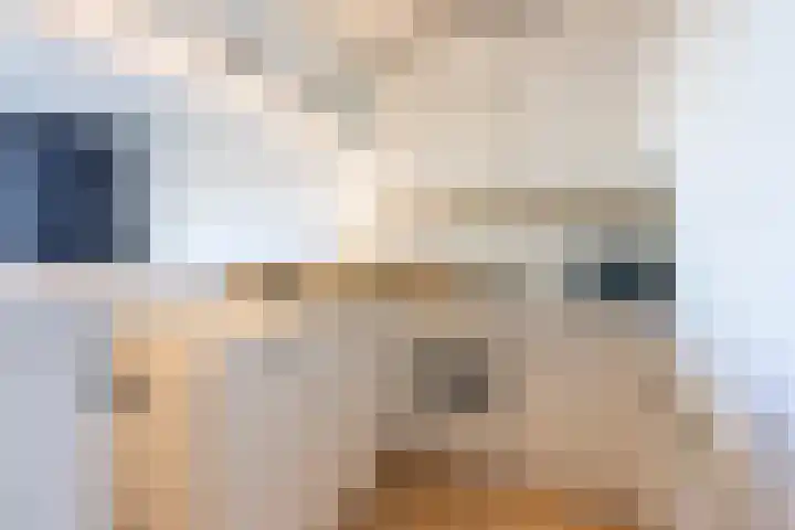 Aert van Neslaan 140 Oegstgeest thumbnail 10