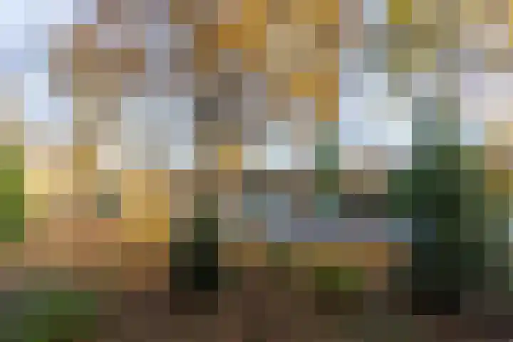 Aert van Neslaan 140 Oegstgeest thumbnail 21