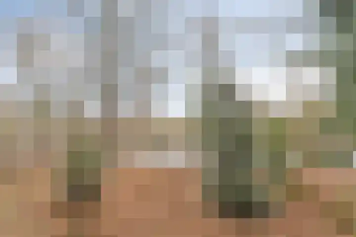 Aert van Neslaan 141 Oegstgeest thumbnail 26