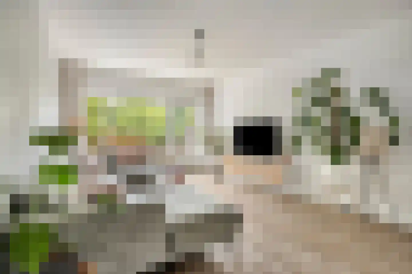 Aert van Neslaan 206 Oegstgeest thumbnail 19