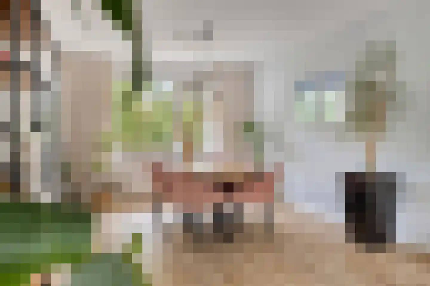 Aert van Neslaan 206 Oegstgeest thumbnail 21