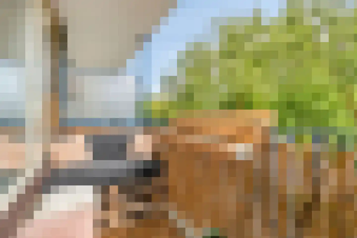 Aert van Neslaan 206 Oegstgeest thumbnail 23