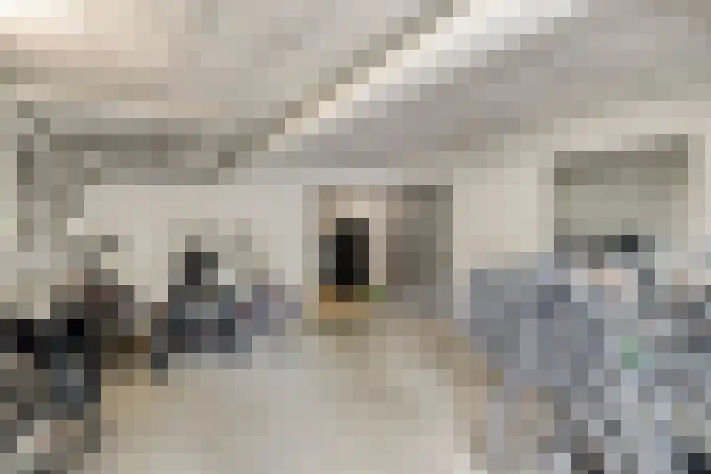 Aert van Neslaan 206 Oegstgeest thumbnail 36