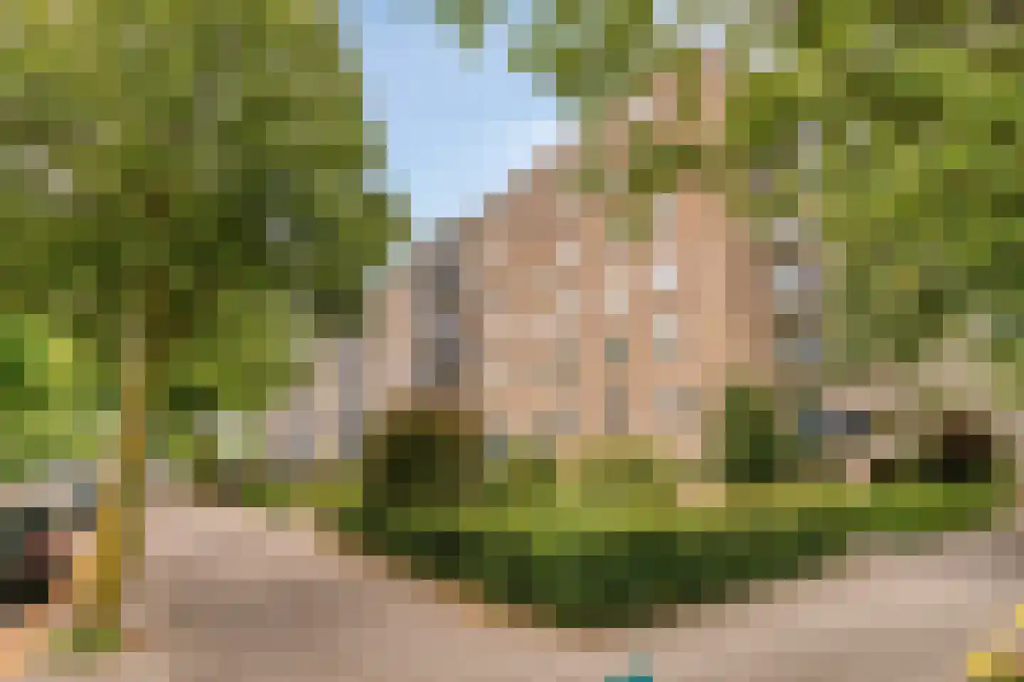 Aert van Neslaan 206 Oegstgeest thumbnail 8