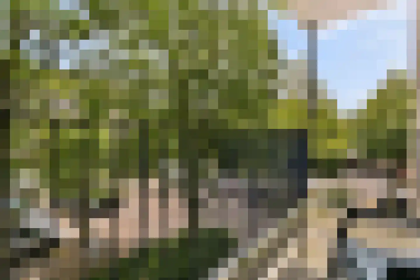 Aert van Neslaan 210 Oegstgeest thumbnail 11