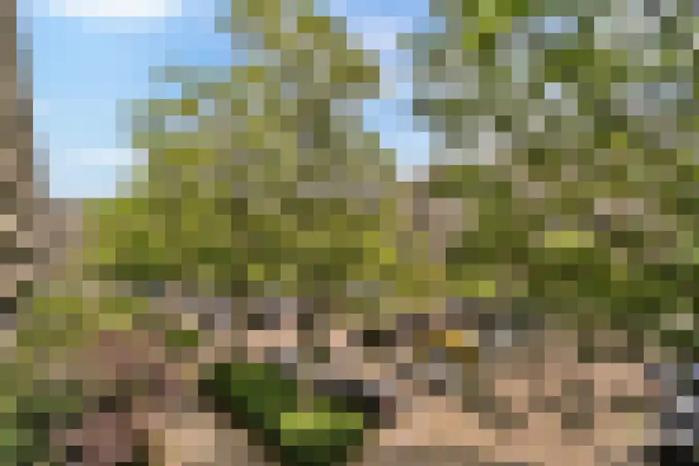 Aert van Neslaan 210 Oegstgeest thumbnail 12