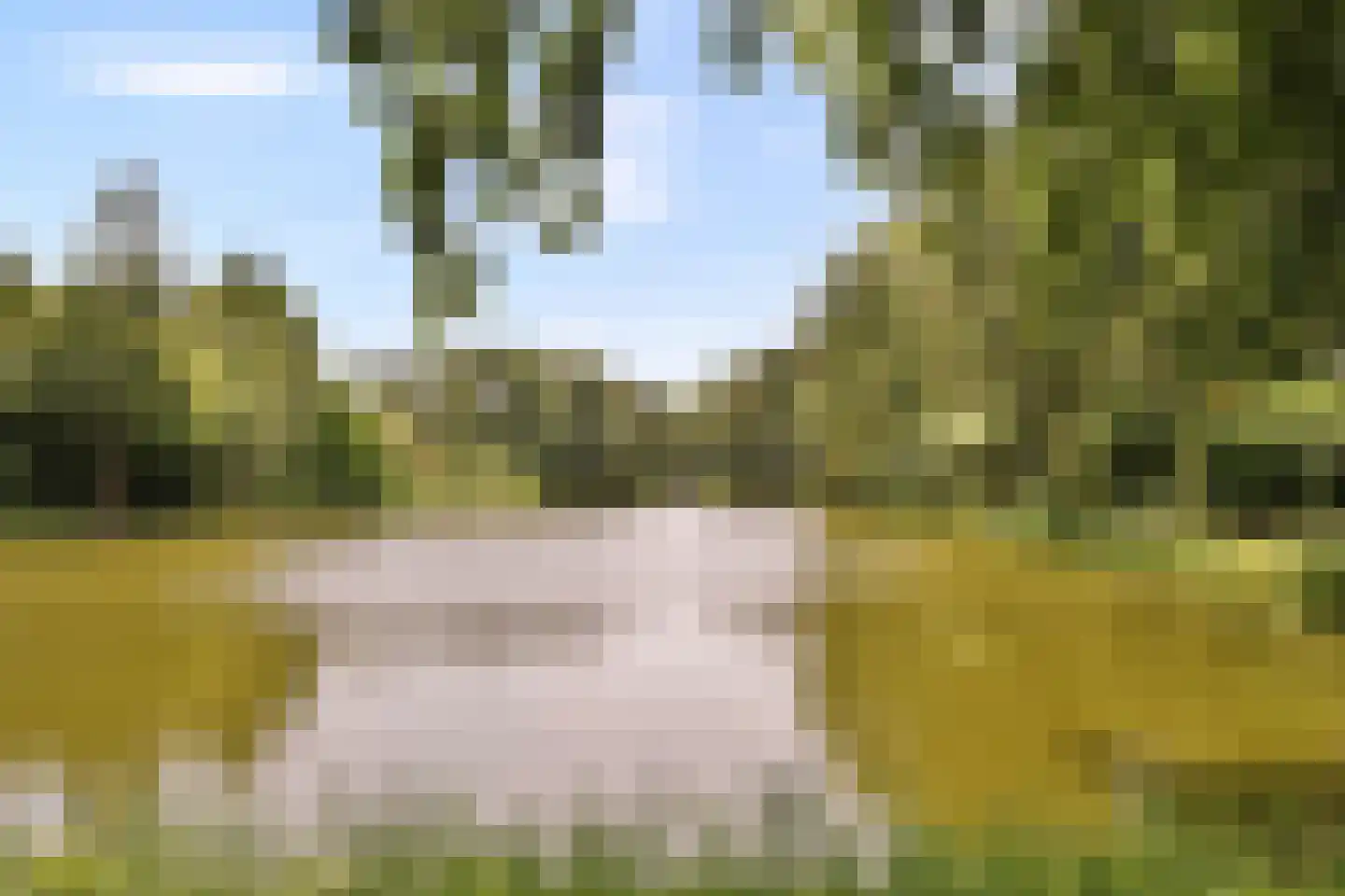 Aert van Neslaan 210 Oegstgeest thumbnail 23