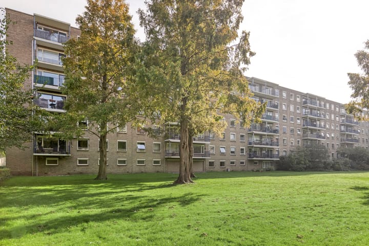 Aert van Neslaan 215 in Oegstgeest Foto