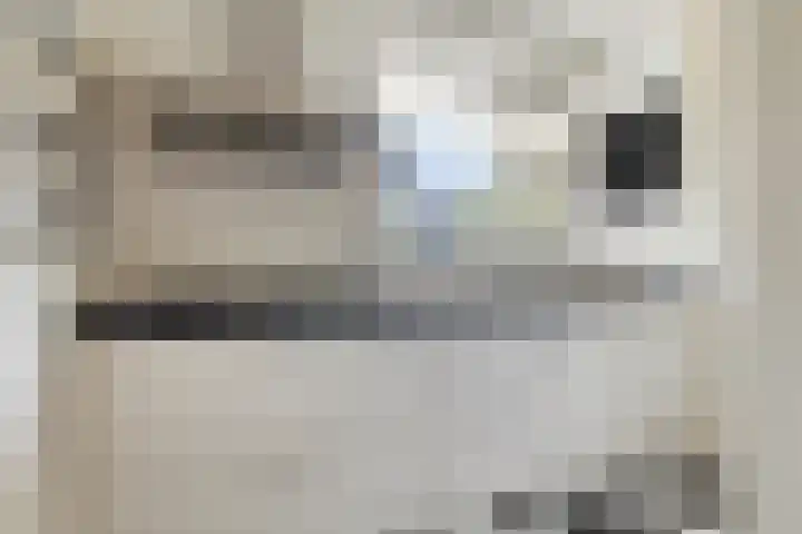 Aert van Neslaan 215 Oegstgeest thumbnail 12