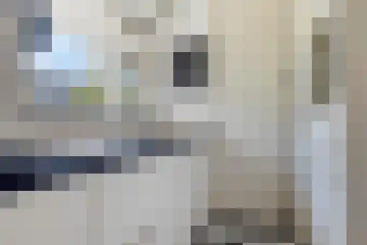 Aert van Neslaan 215 Oegstgeest thumbnail 13