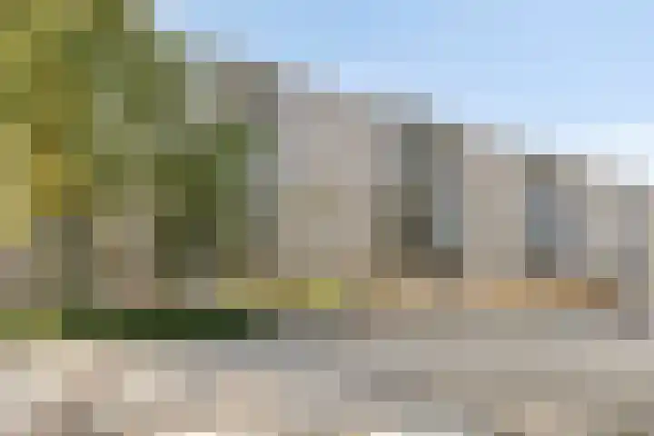 Aert van Neslaan 215 Oegstgeest thumbnail 20