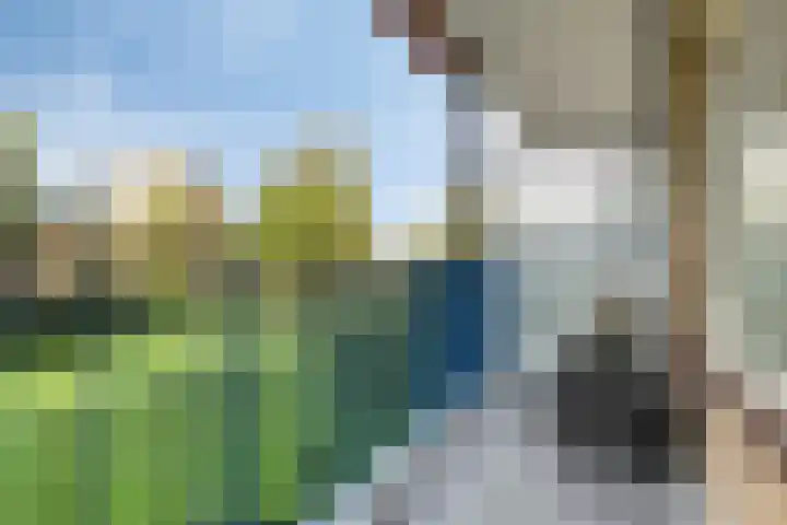 Aert van Neslaan 215 Oegstgeest thumbnail 21