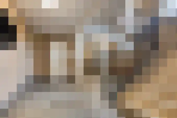 Aert van Neslaan 215 Oegstgeest thumbnail 5