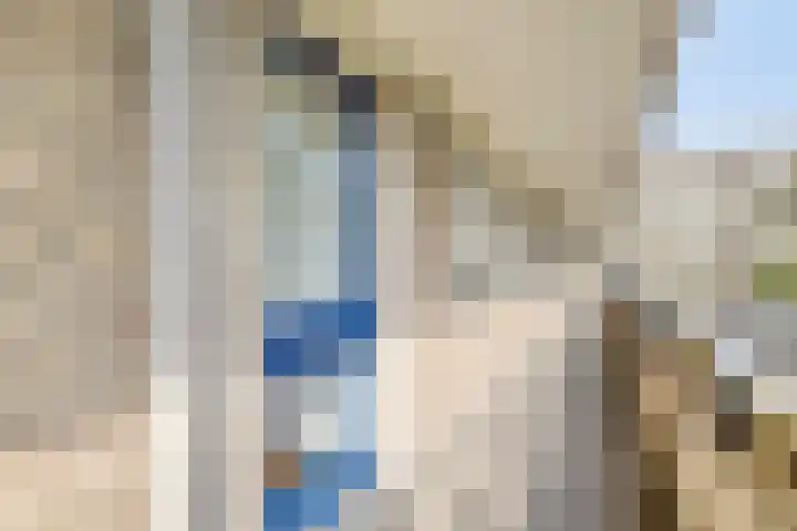 Aert van Neslaan 215 Oegstgeest thumbnail 6