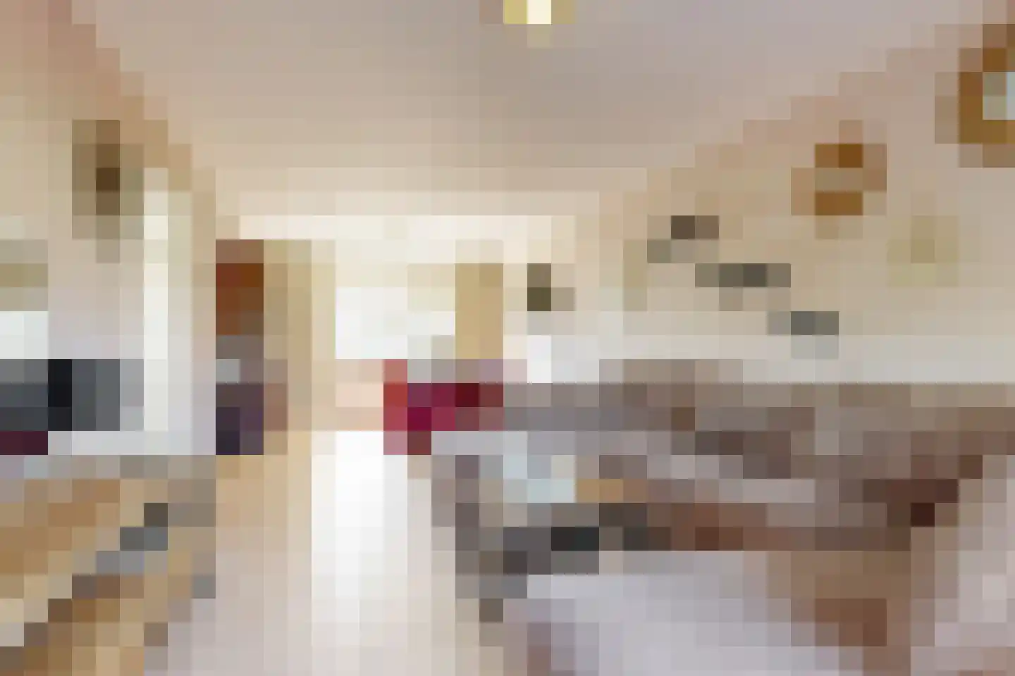 Aert van Neslaan 222 Oegstgeest thumbnail 11
