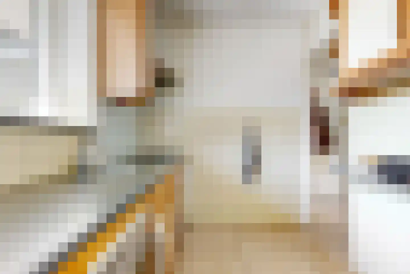 Aert van Neslaan 222 Oegstgeest thumbnail 16