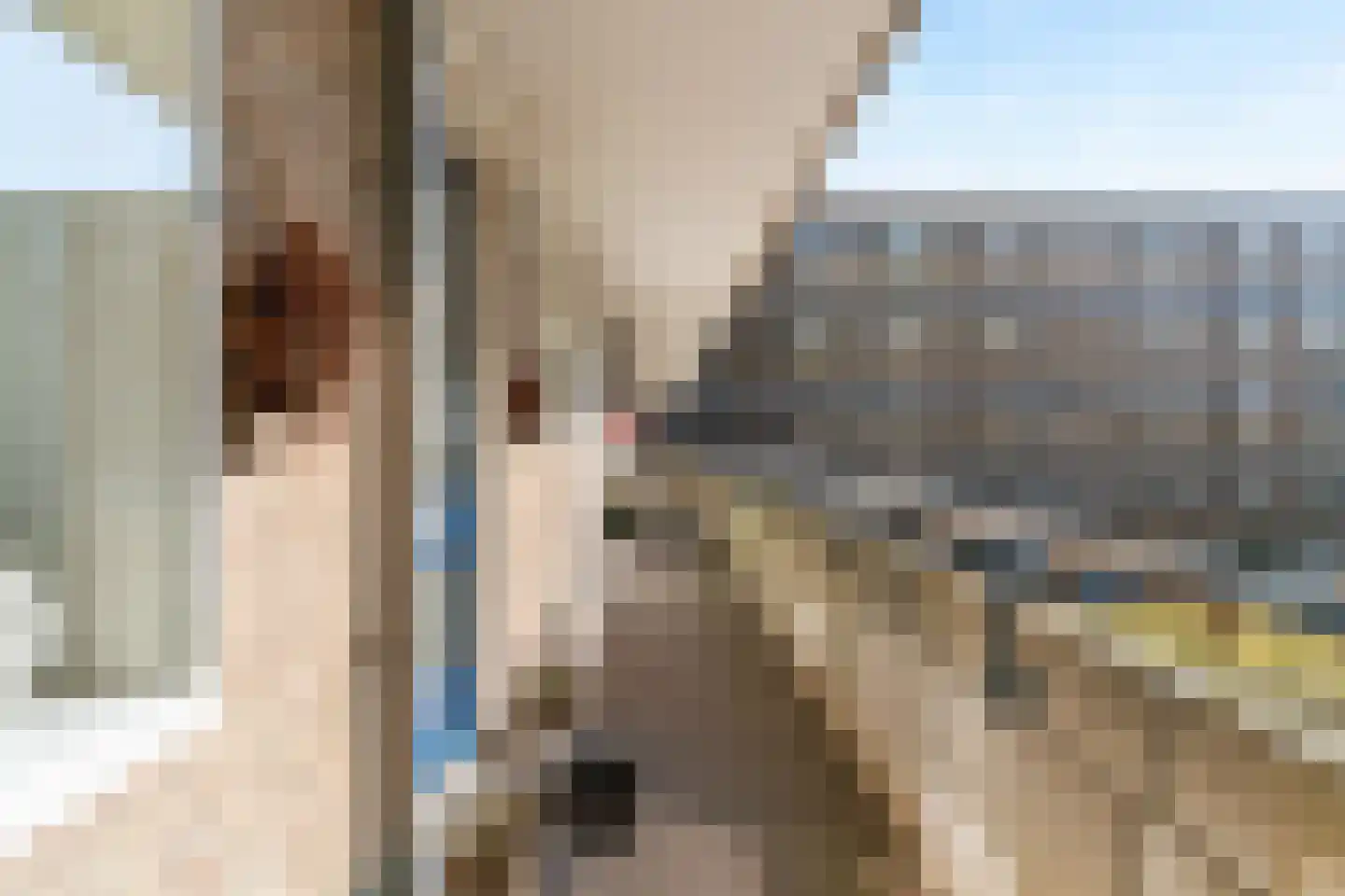 Aert van Neslaan 222 Oegstgeest thumbnail 8