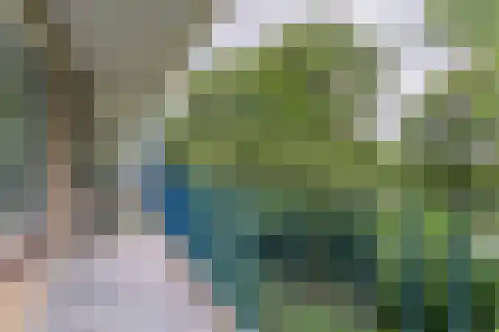 Aert van Neslaan 232 Oegstgeest thumbnail 15
