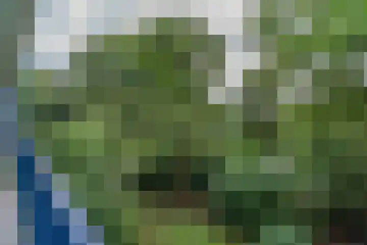 Aert van Neslaan 232 Oegstgeest thumbnail 16