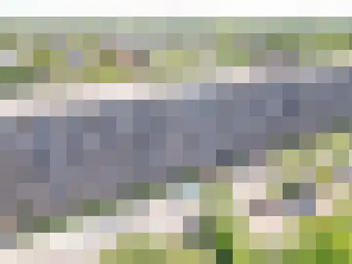 Aert van Neslaan 232 Oegstgeest thumbnail 19
