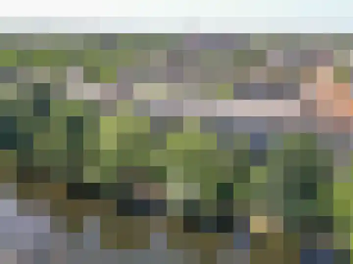 Aert van Neslaan 232 Oegstgeest thumbnail 20