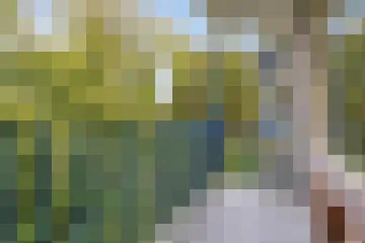 Aert van Neslaan 233 Oegstgeest thumbnail 16