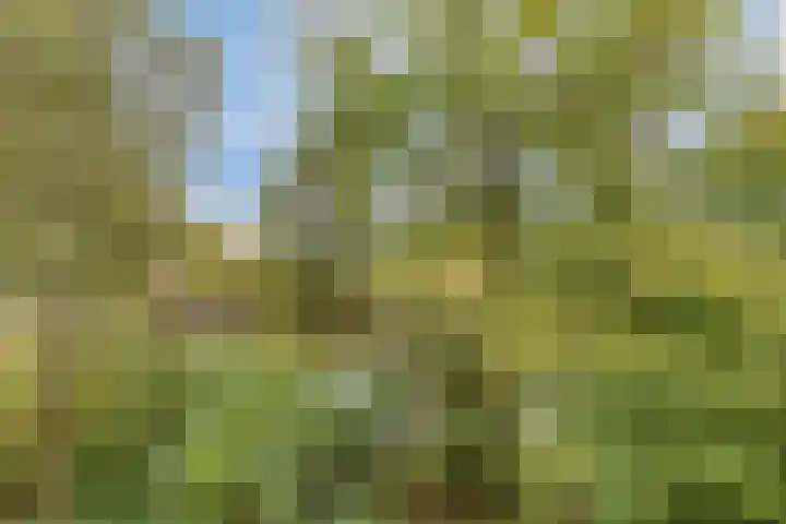 Aert van Neslaan 233 Oegstgeest thumbnail 17