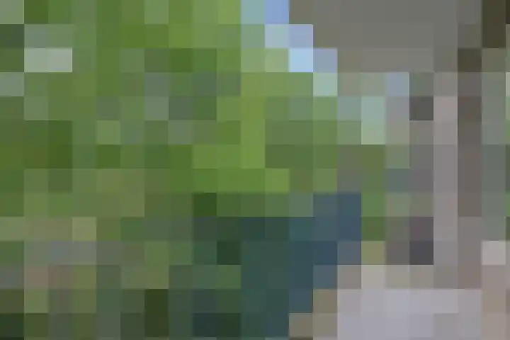 Aert van Neslaan 243 Oegstgeest thumbnail 18
