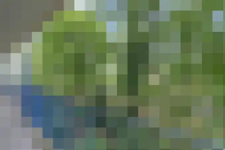 Aert van Neslaan 243 Oegstgeest thumbnail 19