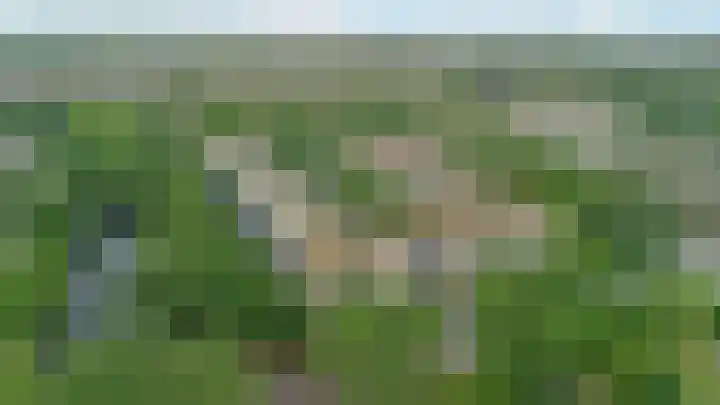 Aert van Neslaan 243 Oegstgeest thumbnail 27
