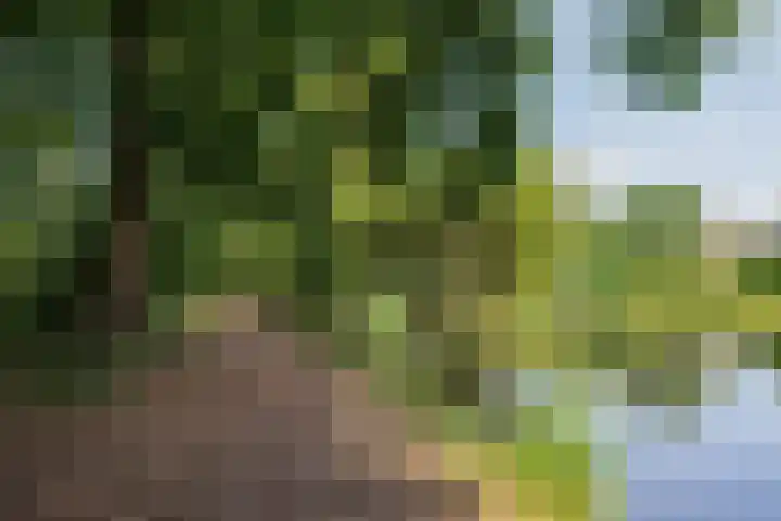 Aert van Neslaan 243 Oegstgeest thumbnail 33