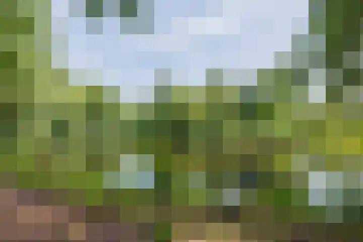 Aert van Neslaan 243 Oegstgeest thumbnail 34