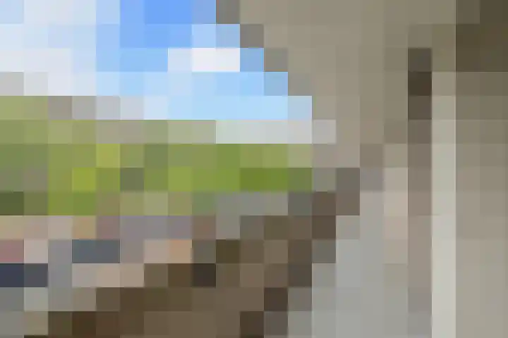 Aert van Neslaan 243 Oegstgeest thumbnail 5