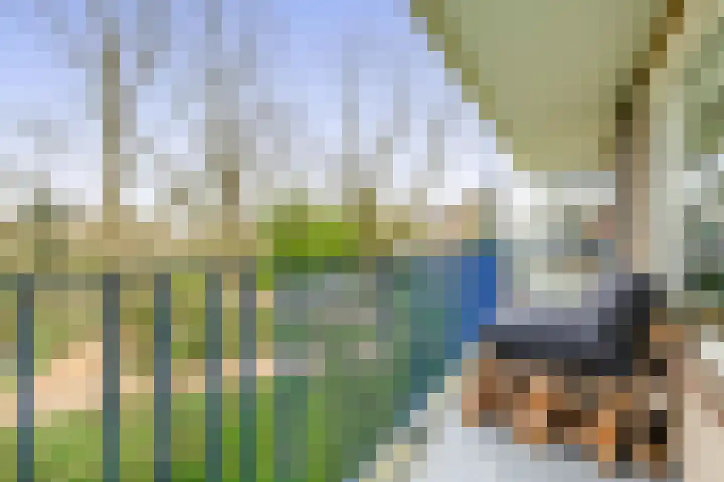 Aert van Neslaan 246 Oegstgeest thumbnail 17